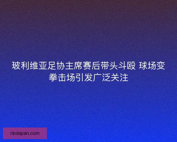 玻利维亚足协主席赛后带头斗殴 球场变拳击场引发广泛关注
